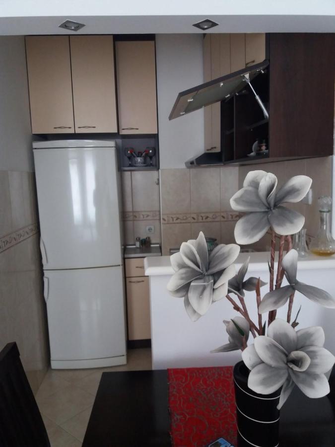 Apartament Apartman Ema Valjevo Zewnętrze zdjęcie